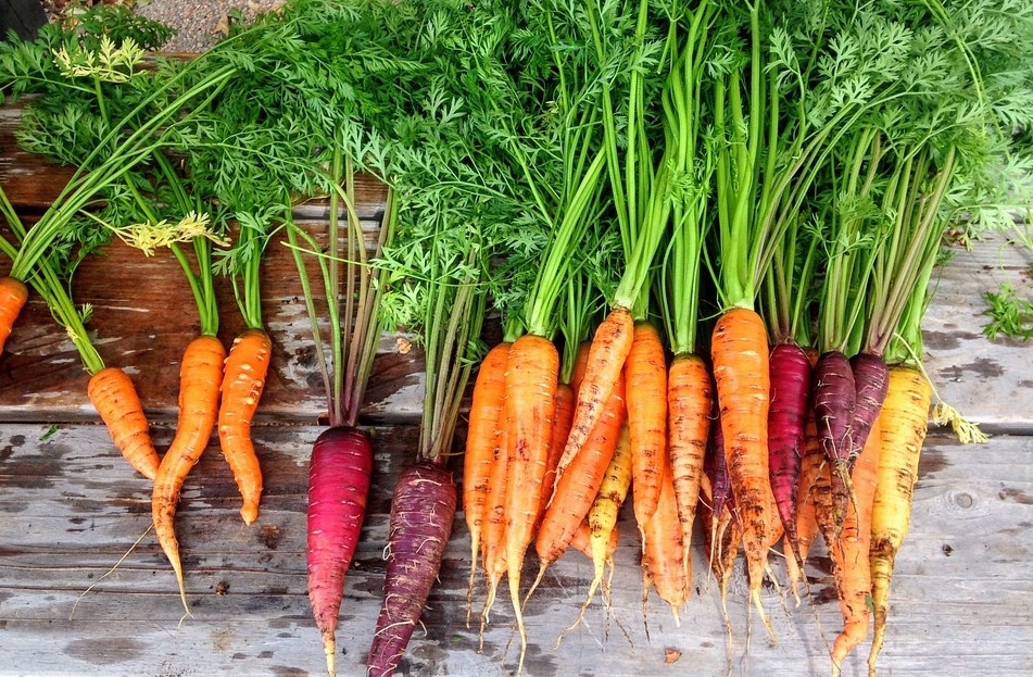 Come seminare le carote a maggio - Ghiott